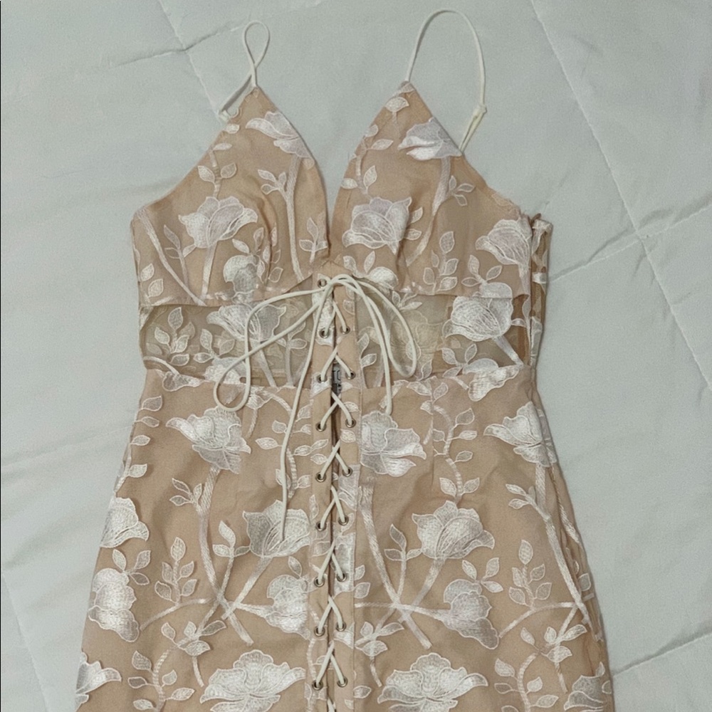 Tobi Nude Dress